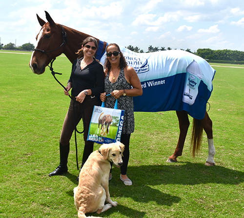 replaypolo-story-home-image