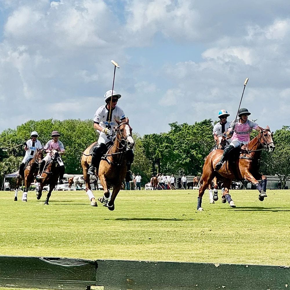 nexus polo